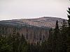 DSC06036.jpg